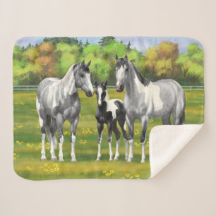 Daple Gray Pinto Paint Horses In Summer Pasta Sherpadecke