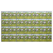 Daple Gray Pinto Paint Horses In Summer Pasta Stoff (Yard (91,4 cm))