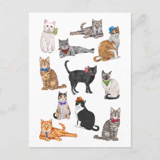 Dapper Cats Postkarte (Vorderseite)