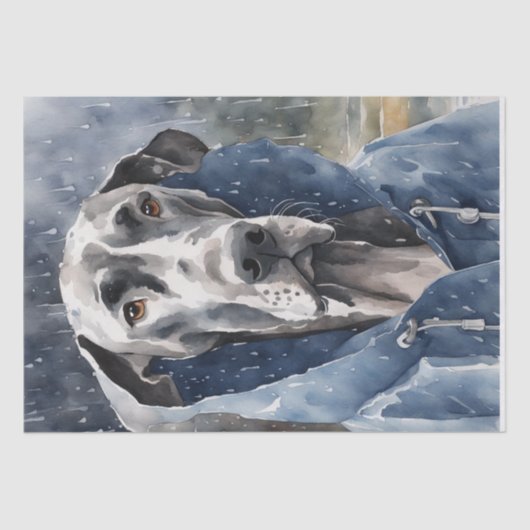 Dapper Great Dane in Downpour Seidenpapier (Vorderseite)