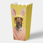 Dapper Oaster Bunny Dog Geschenkschachtel (Vorderseite)