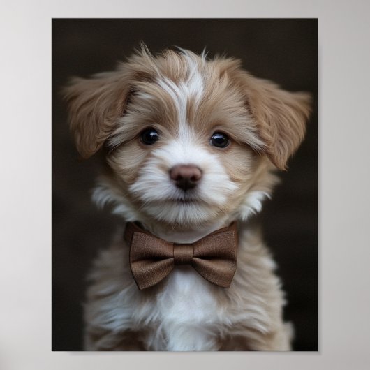 Dapper sucht Jungtier Poster (Vorne)