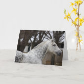 Dapple Gray Andalucian Stallion Headshot Karte (Gelbe Blume)