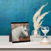 Dapple Gray Ein perfektes Wochenende in Andalusien Fotoplatte (InSitu)