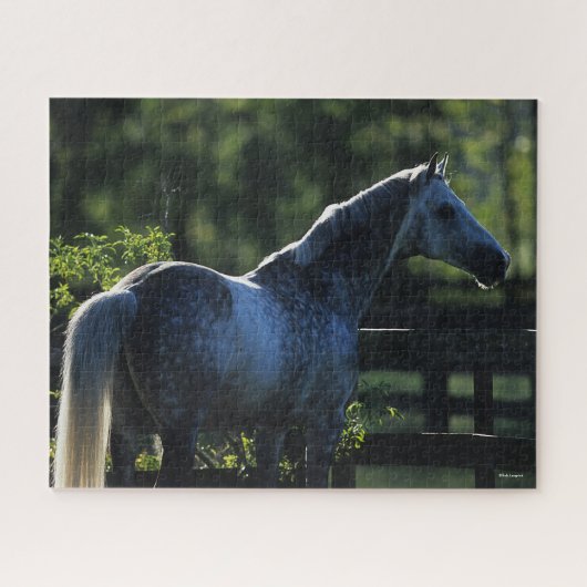 Dapple Gray Hanoverian Hallion Stehend Puzzle (Horizontal)