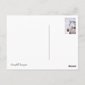 DAPPLE GRAY HEADSHOT POSTCARD POSTKARTE (Rückseite)