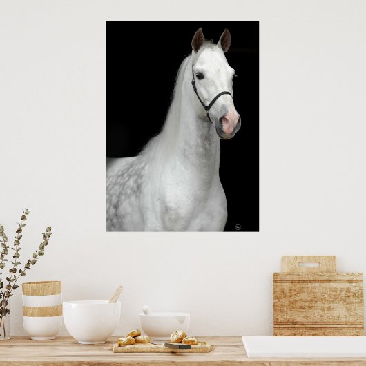 Dapple Gray Horse Poster (Küche)