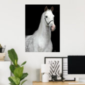 Dapple Gray Horse Poster (Heimbüro)