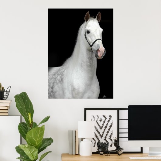 Dapple Gray Horse Poster (Heimbüro)