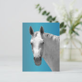 Dapple Gray Horse Postkarte (Stehend Vorderseite)