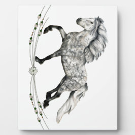 Dapple Gray Icelandic Mare Grá Fotoplatte