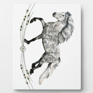 Dapple Gray Icelandic Mare Grá Fotoplatte