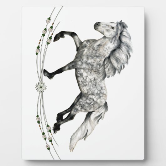 Dapple Gray Icelandic Mare Grá Fotoplatte (Vorderseite)