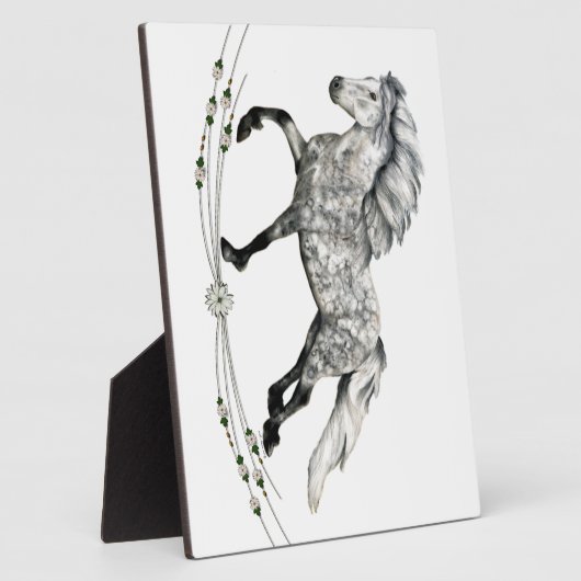 Dapple Gray Icelandic Mare Grá Fotoplatte (Seite)