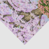 Dapple Gray Quarter Horse Mare Palomino Foal Seidenpapier (Detail)