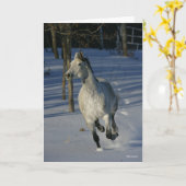Dapple Gray Trakehner im Schnee Karte (Gelbe Blume)