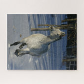 Dapple Gray Trakehner im Schnee Puzzle (Horizontal)