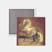 DAPPLED GRAY HORSE MAGNET (Vorderseite/Rückseite)