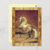 DAPPLED GRAY HORSE POSTKARTE (Vorne/Hinten)