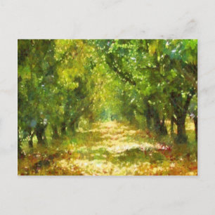 Dappled Light of Day Dreams Tremola Art Collection Postkarte