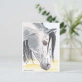 DappledAarabian Mare Postkarte (Stehend Vorderseite)