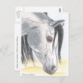 DappledAarabian Mare Postkarte (Vorne/Hinten)