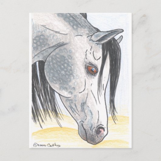 DappledAarabian Mare Postkarte (Vorderseite)