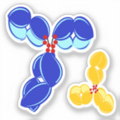 DAR8-Konjugat des Antikörpers an den Zysten Aufkleber (Vorderseite)