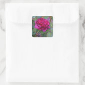 Darcey Bussell Rose #1 Stickers (Tasche)