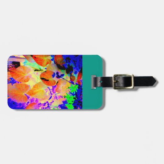 Darcy Gepäck-Umbau in aquamarinem Gepäckanhänger (Vorderseite horizontal)