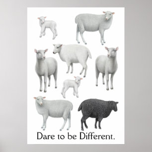 Dare to be Different Black Sheep Print Poster