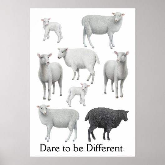 Dare to be Different Black Sheep Print Poster (Vorne)