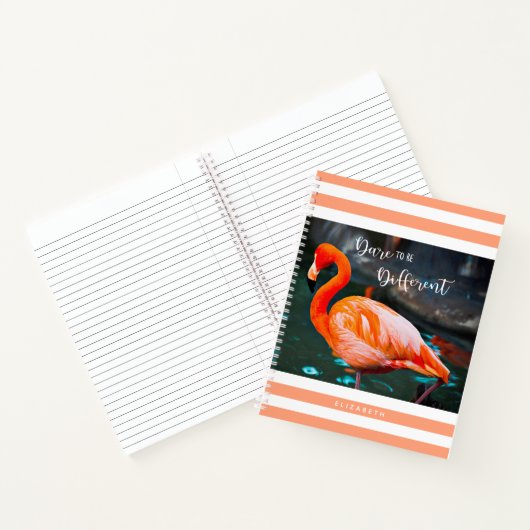 Dare to be Different Flamingo Orange White Stripes Notizblock (Innenseite)