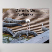 Dare to be Different Poster (Vorne)