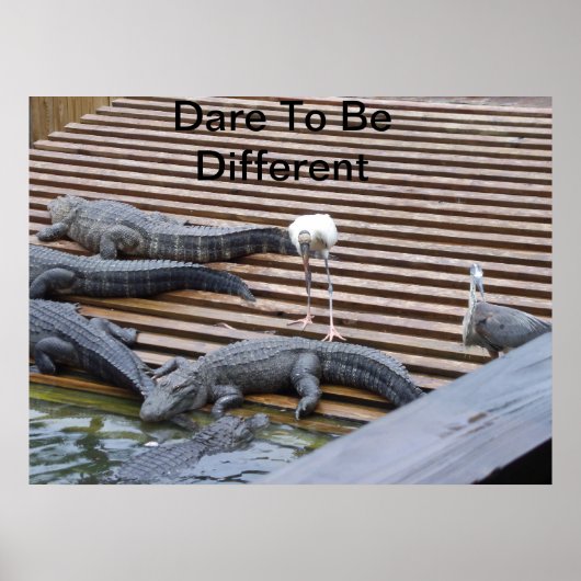 Dare to be Different Poster (Vorne)