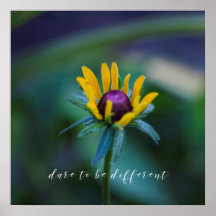 Dare to be different - Schöne Blume Foto
