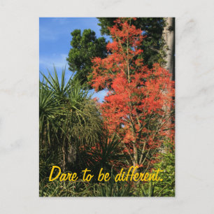 Dare to be Different - Zeigen Sie Ihre wahren Farb Postkarte
