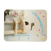 Daredevil Cat Magnet (Horizontal)