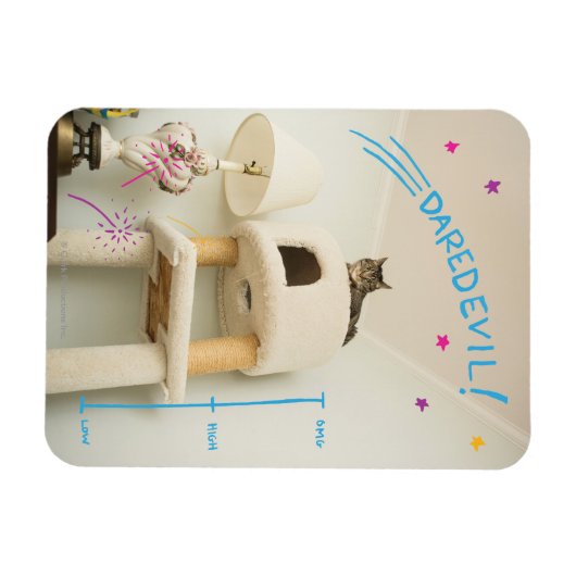 Daredevil Cat Magnet (Horizontal)