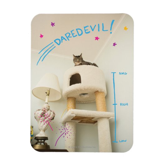 Daredevil Cat Magnet (Vertikal)