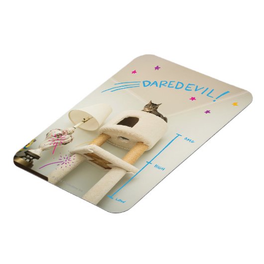 Daredevil Cat Magnet (Linke Seite)