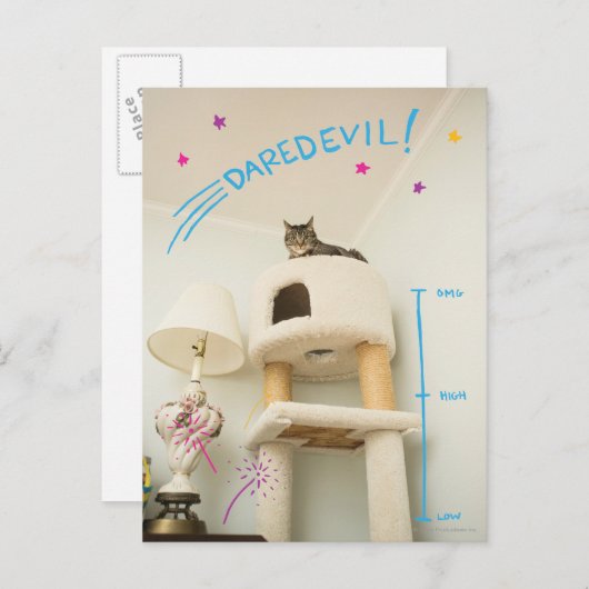 Daredevil Cat Postkarte (Vorne/Hinten)
