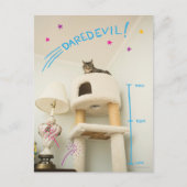Daredevil Cat Postkarte (Vorderseite)