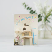 Daredevil Cat Postkarte (Stehend Vorderseite)