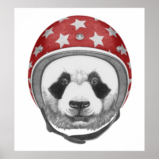 Daredevil Panda Poster (Vorne)