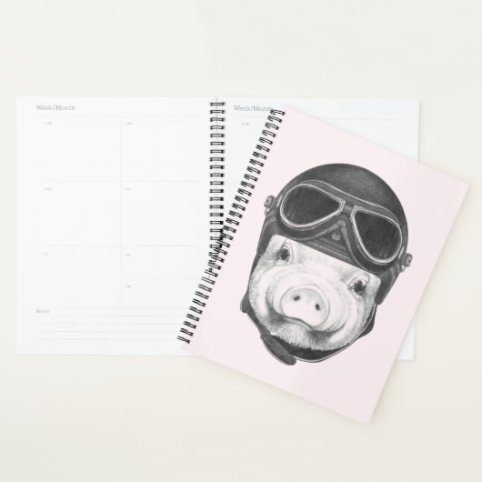Daredevil Pig Planer (Anzeige)