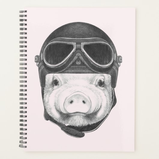 Daredevil Pig Planer (Vorderseite)