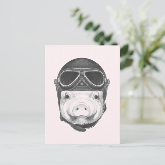 Daredevil Pig Postkarte (Stehend Vorderseite)