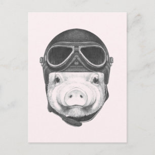 Daredevil Pig Postkarte