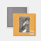 Darf ich tanzen? magnet (Vorderseite/Rückseite)